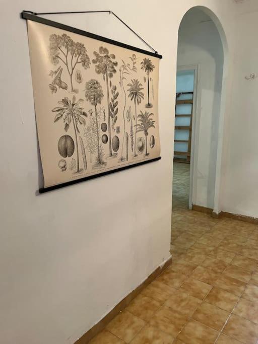 Puigsallanca-ye Appartement